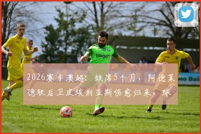 2026赛季澳超：缺席5个月，阿德莱德联后卫皮埃利亚斯伤愈归来，球队后防实力迎重大补强